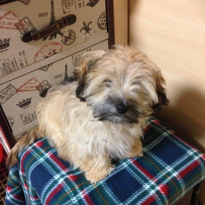 111f0324 a3ff 430c 8bbd 079ae8f57630