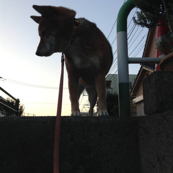 111fcfa5 8b28 496c b095 2820212877a8