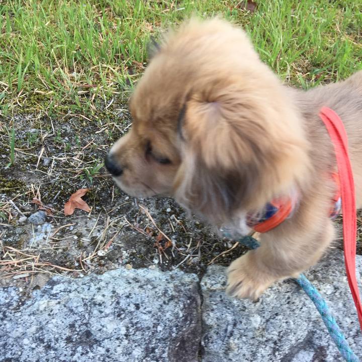 111fe9de cf7a 4137 b4f6 58201618497b