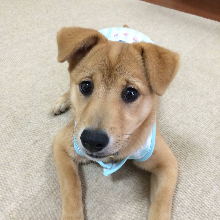 1120c01b 3172 4c73 9559 7e8e5a8db134