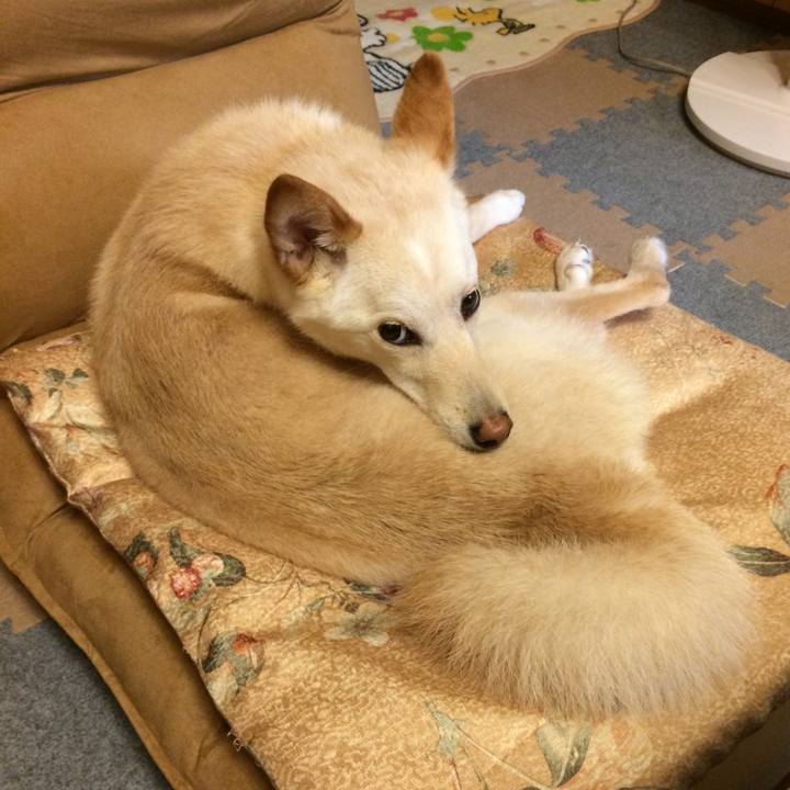 1120e845 fa99 4f13 b860 0dc19e77c4b4