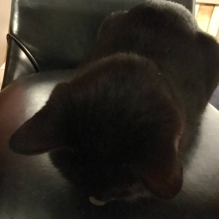 11213e02 87f2 4170 a7f9 725351e84dfe