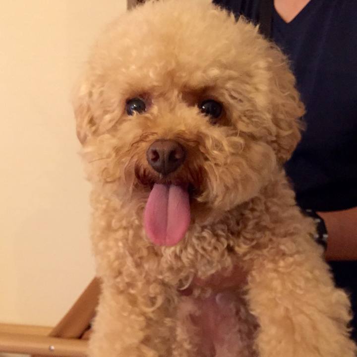 112146c4 e56d 4ea9 8cf9 c227eeb3b84c