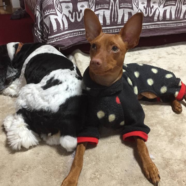 112177de 0bee 4e5d 8b61 f8e17d93d526