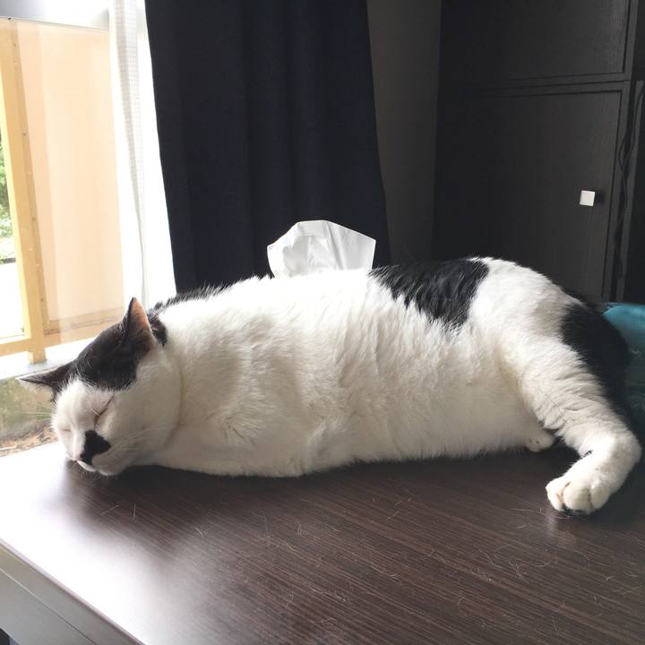 11219076 f0e8 4afa 81f5 d669a089516c