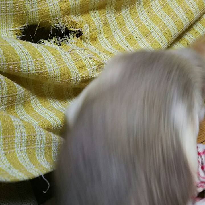 11228b1e 2c2f 48b6 9214 98451d943c29