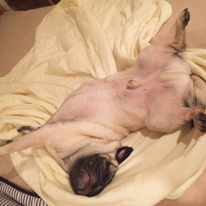 11229f86 05b6 4101 98cb e7b89e4f5ea9