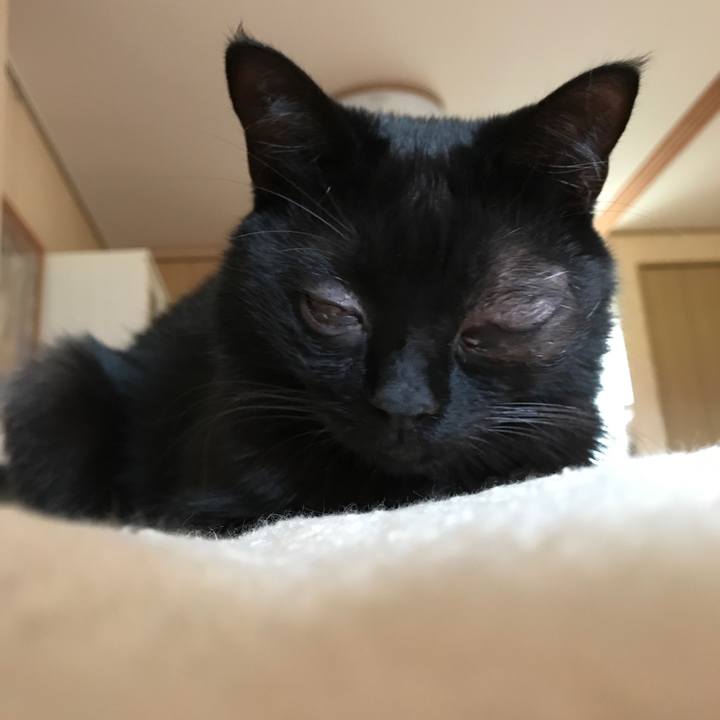 1123b054 9b25 4970 bbf8 68e45accfe48