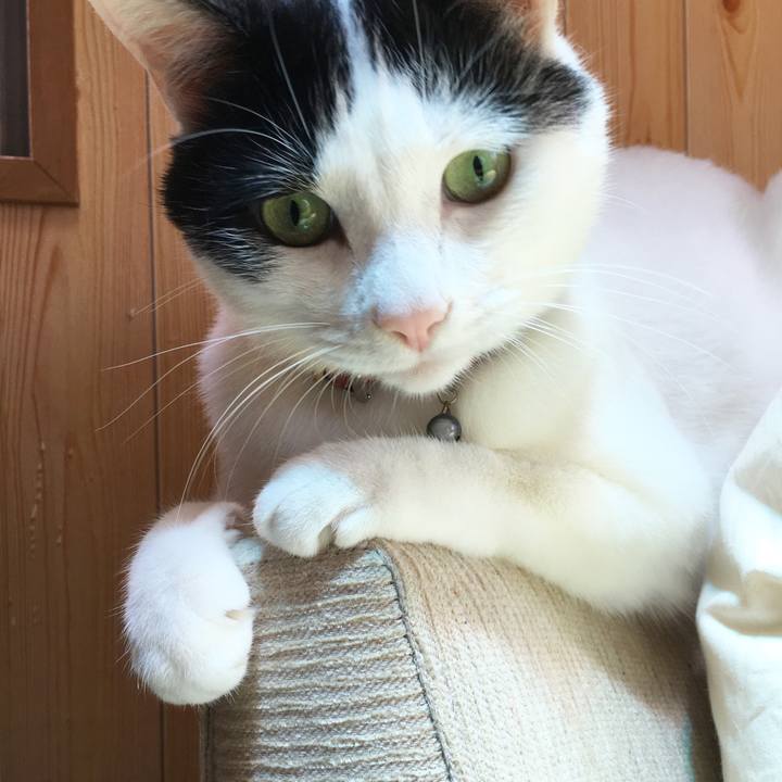 1123e5d6 1711 4c87 afad b7b6ba7e06c7