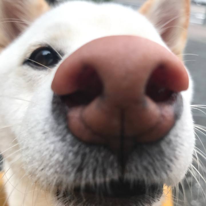 1123e71e a438 4314 8448 78f8e4a03095