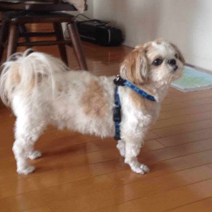 1124a4b8 922e 4a0d b242 aa5665fba338