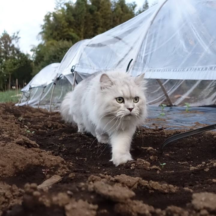 1125ab8b 8cbb 45bc b8de 9d8001b4ef9c