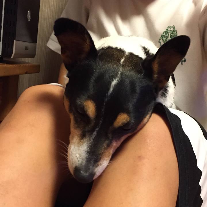 1125b380 c6e9 4246 bfc7 641a0a4dc812