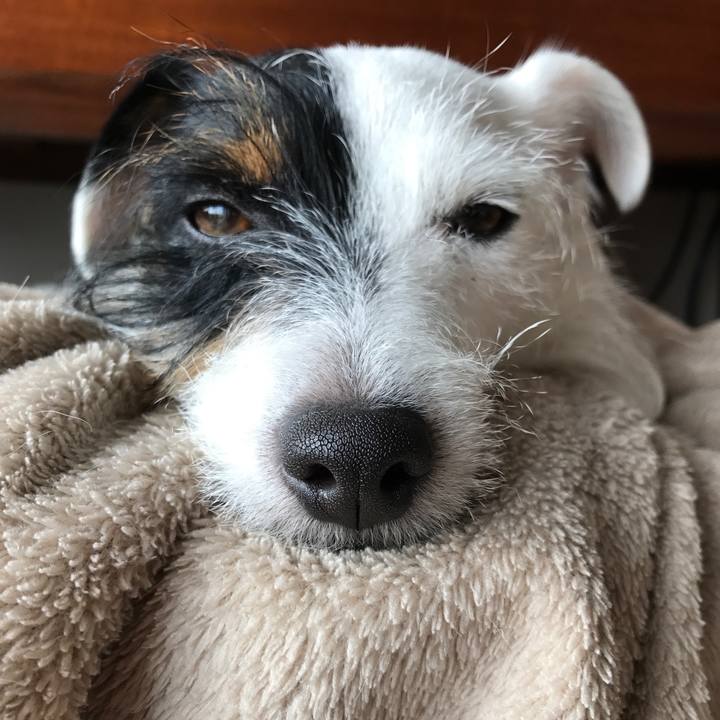 1125c328 c4c8 44cf b937 ad24a794664f