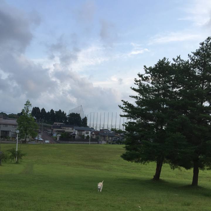 1126a6ae b3b3 43a4 bfdd e40c87317a69