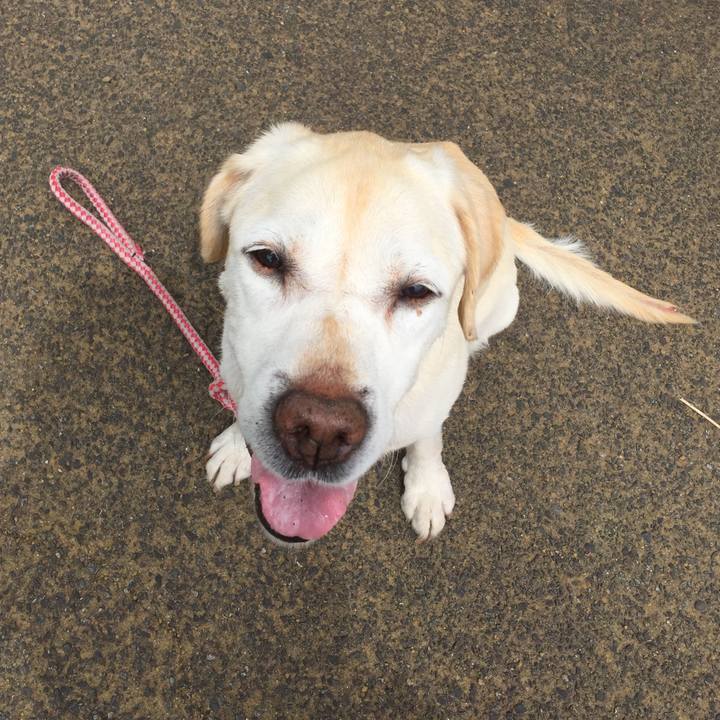 1127df41 ebc4 48d1 aafe 54c183f8d53b