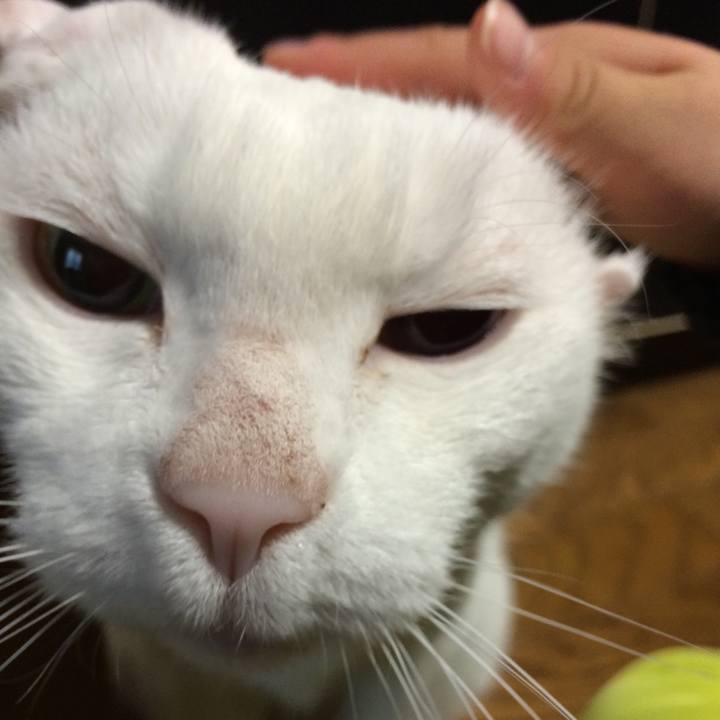 1127dfd7 5218 4aa9 9f22 572ce3e4c496