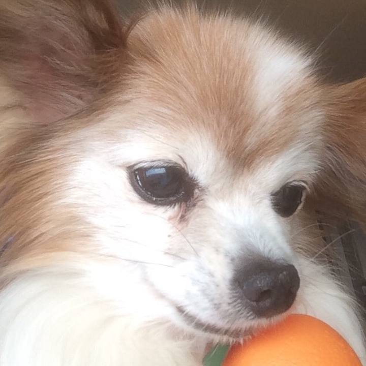 1128b71b f1c1 4a7f 9a56 5e1d33d15e02