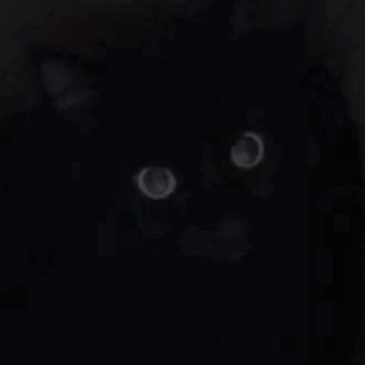 11293d61 89a7 4bdb 99ed bb03ae78d5f1