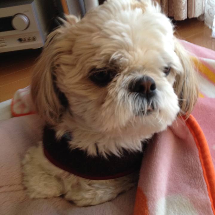 112a01e7 7e89 46fe 97e4 82d47413e32b