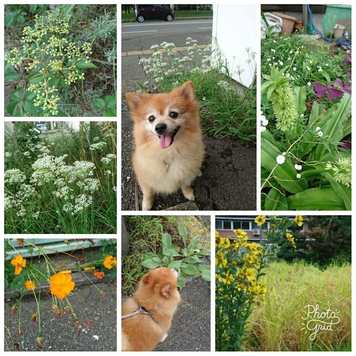 112b3703 8679 4612 9bda 07beab4722a1