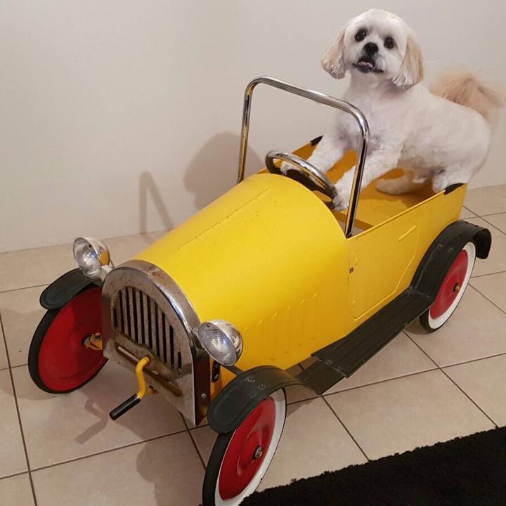 112b3a24 5ca7 4892 b97e 3917a2075e0a