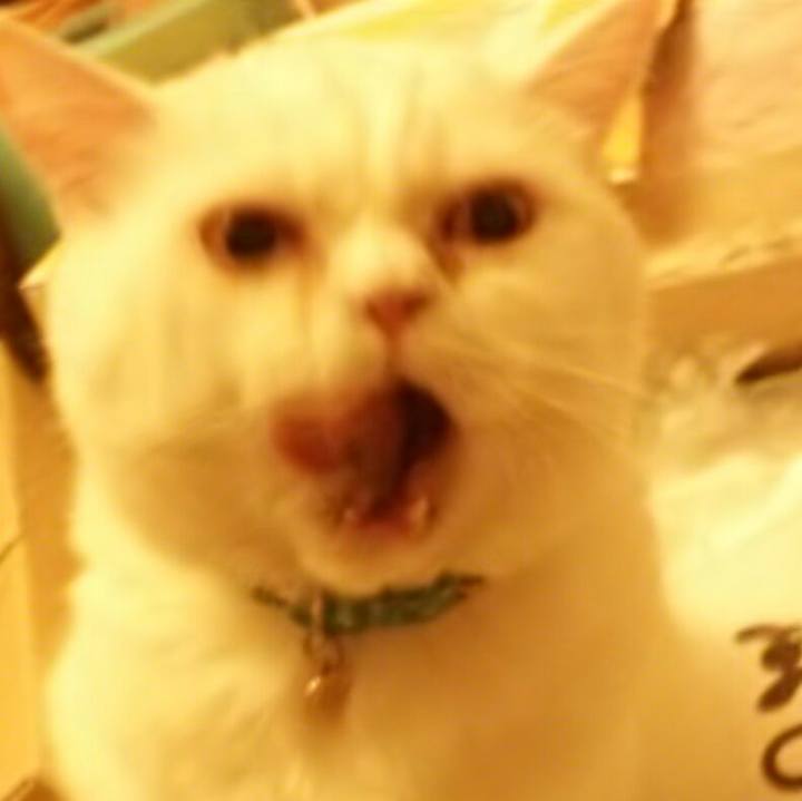 112c2ffb d27d 4203 a571 42ad6235d694