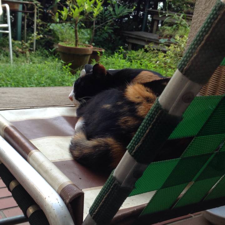 112c5588 eaab 464b 86f6 e4a38d2ddffd