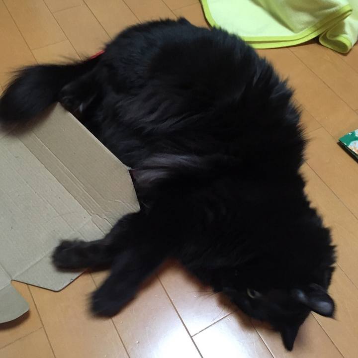 112db761 60a2 46cf a926 bc675a4761c1