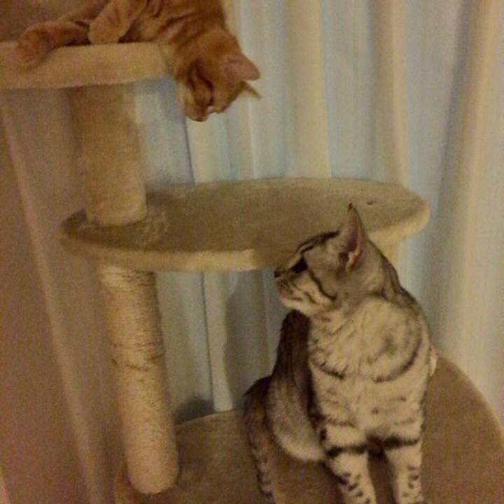 112dd7b9 4b38 44ea 826c 0c1ac3e15703