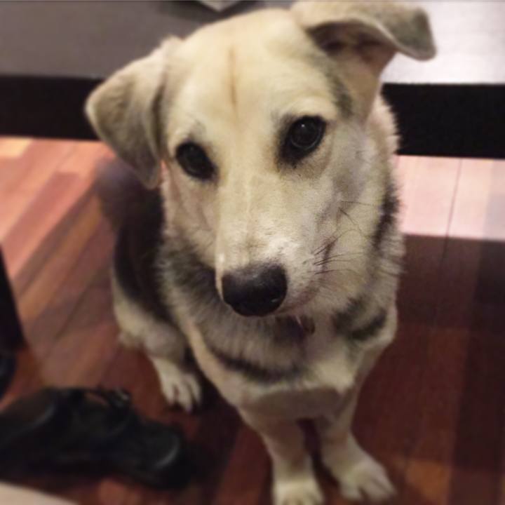 112e662b 0b0b 4d2a afbf c9497cce246e