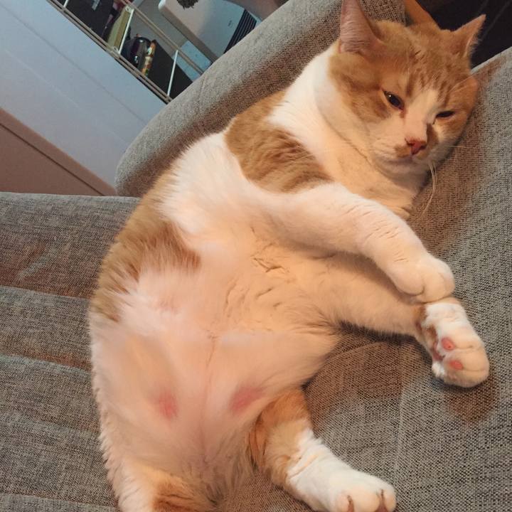 112e784a 39a5 4ca8 b8b2 55832c3b8b1d