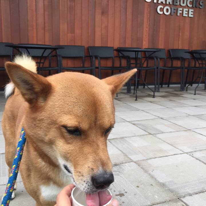 112e8fa7 1ca7 463f a766 2f4208298eb6