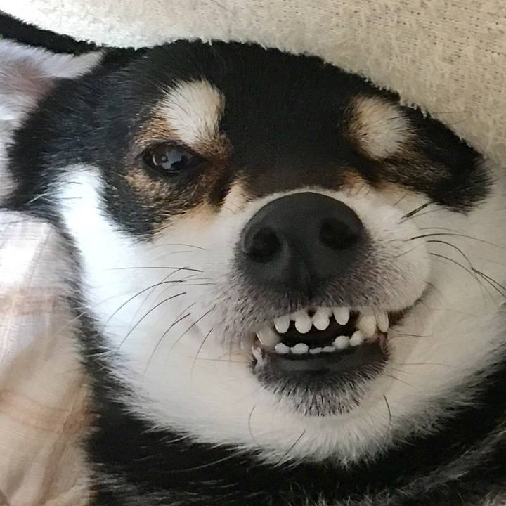 112f0b88 aed1 47ee 8cbd d0cc720430ad