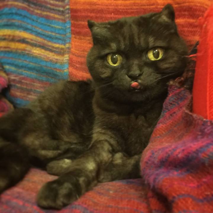 112fa02b b719 41ee a741 9887c3d64761