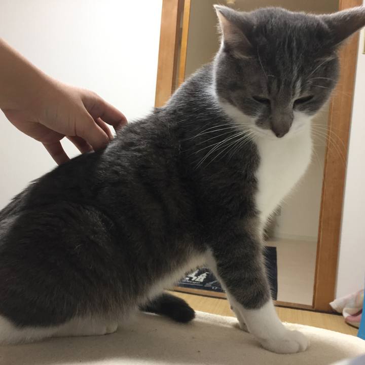 1130226d b3cc 4339 8071 511d7ff7ef65