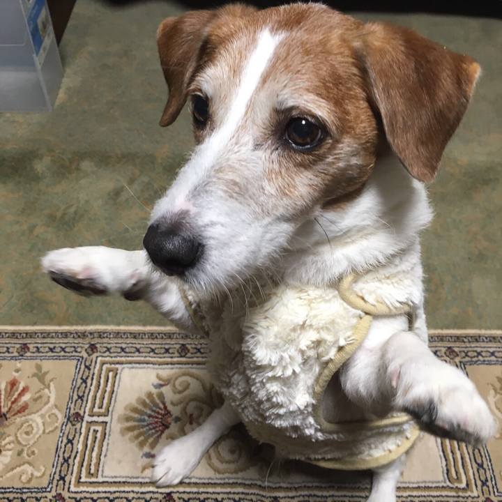 1130ea50 1deb 4150 bbe6 5de5a0252a0e