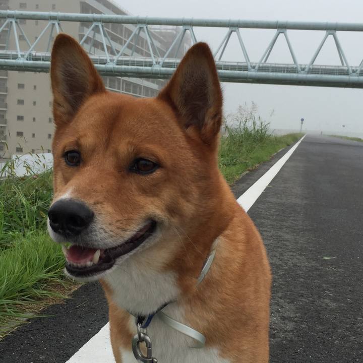 113110cf e527 4ff2 a44c 487f3c506bbd