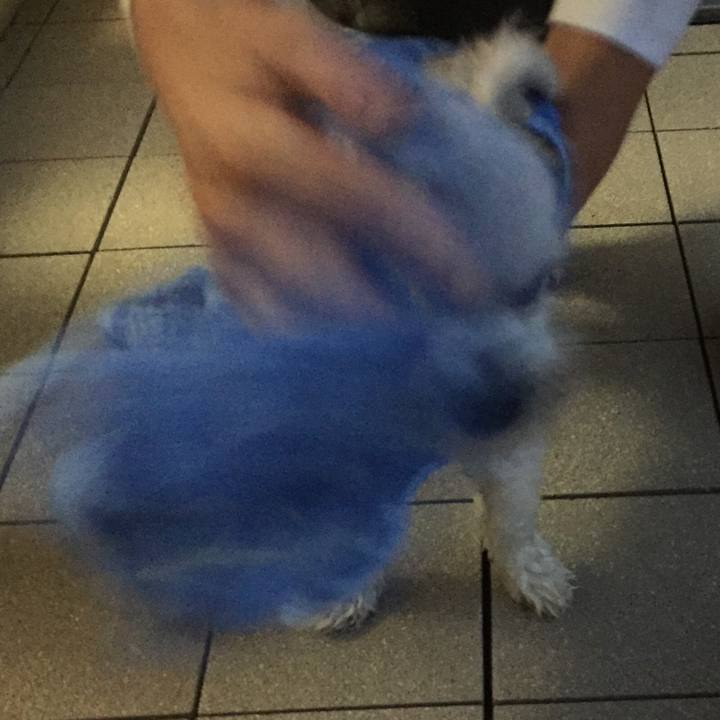 1131aaed 3e2c 4f18 893c 2a6426b0e392