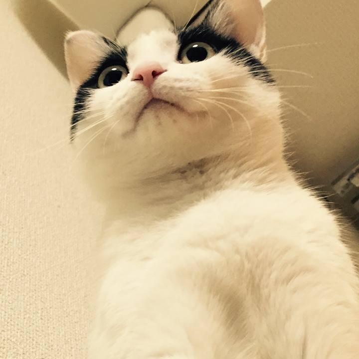 1131f1b1 851d 4967 8946 d7dd950ab74e