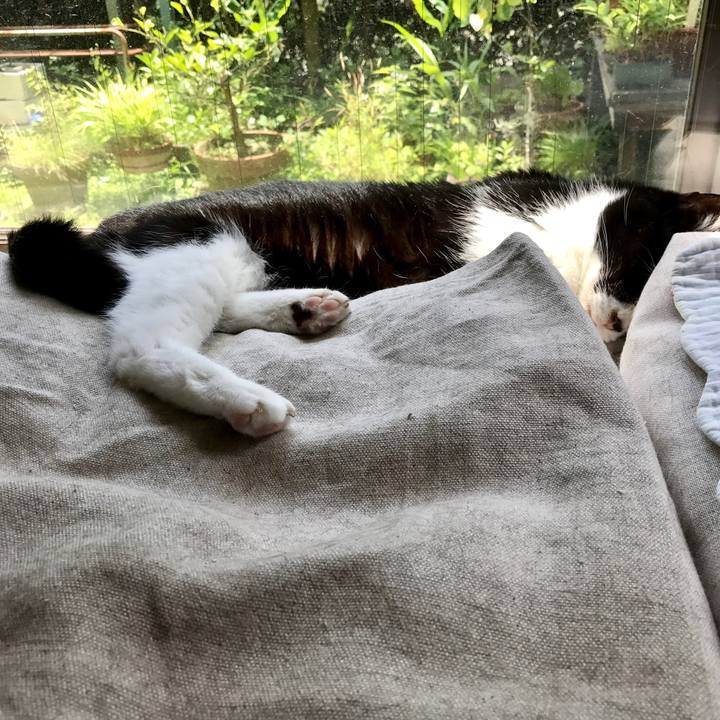 1132ae72 930c 4a7b b7f3 32b1375e01a3