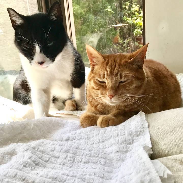 1132b82d 9fce 4597 a4cc a2ea670d01e2