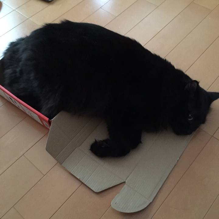 1133a4fc 7585 4741 a073 b2d2bcc9a3d2