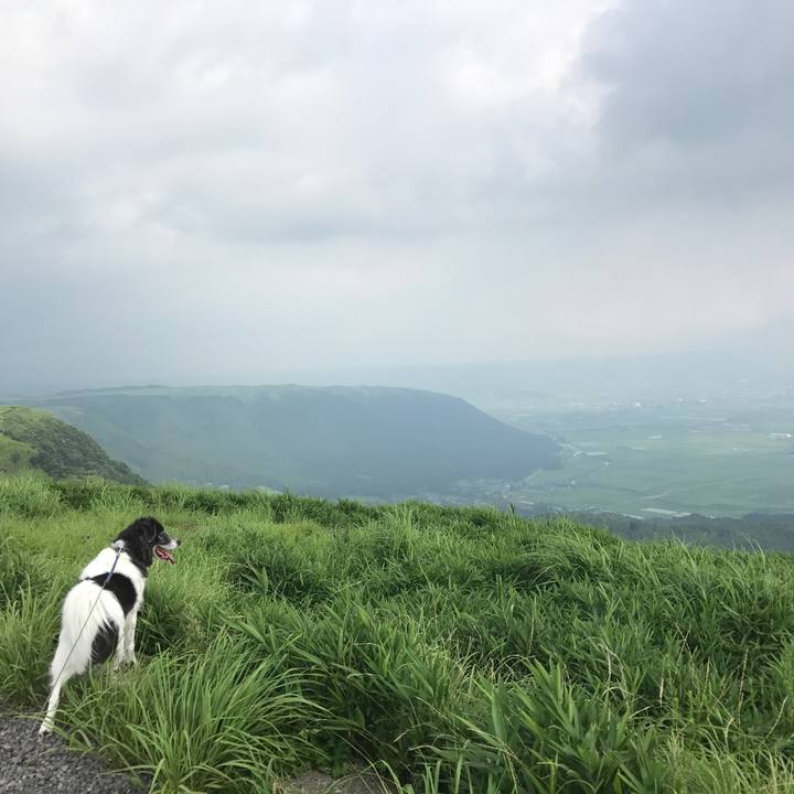 1133f589 94f0 4682 aee4 7812a62c2091