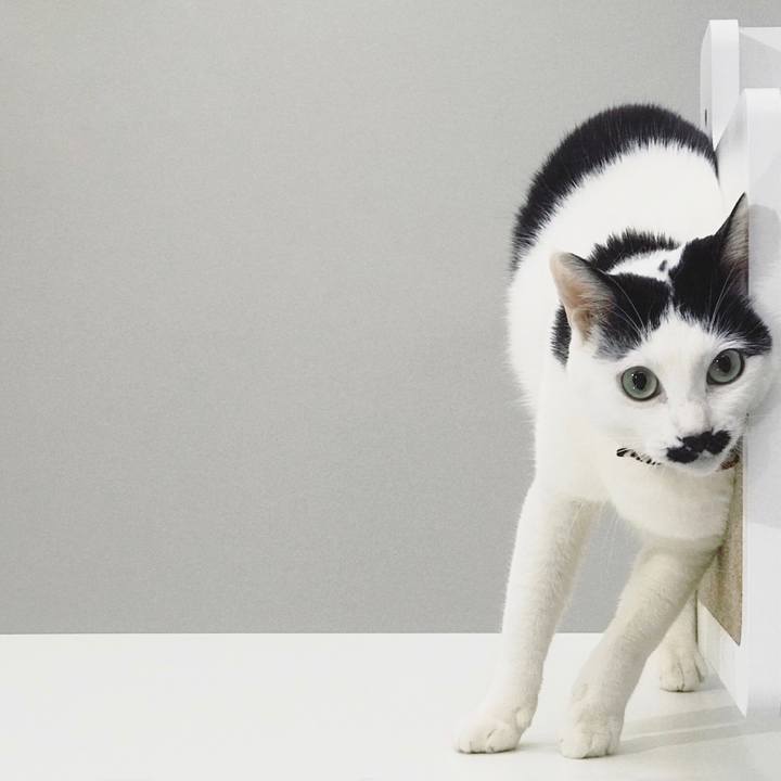 11353dff 4057 49a4 a92f 50f9aba02741