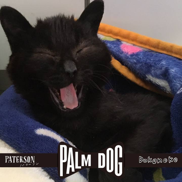 11359c7a 2fa4 418a a9e5 cbcf5a1c0a84