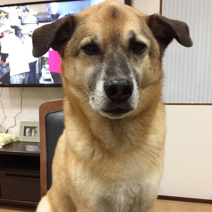 1135a284 4b61 410f 913f 2afcc4aaf01e