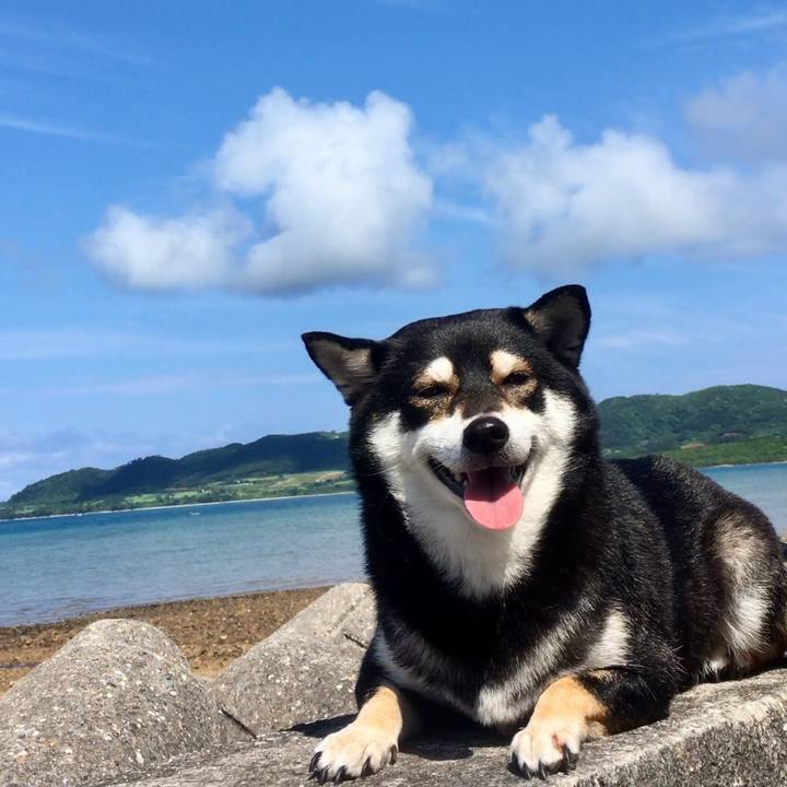 1135bedb dee4 450c 8083 a18d616df199