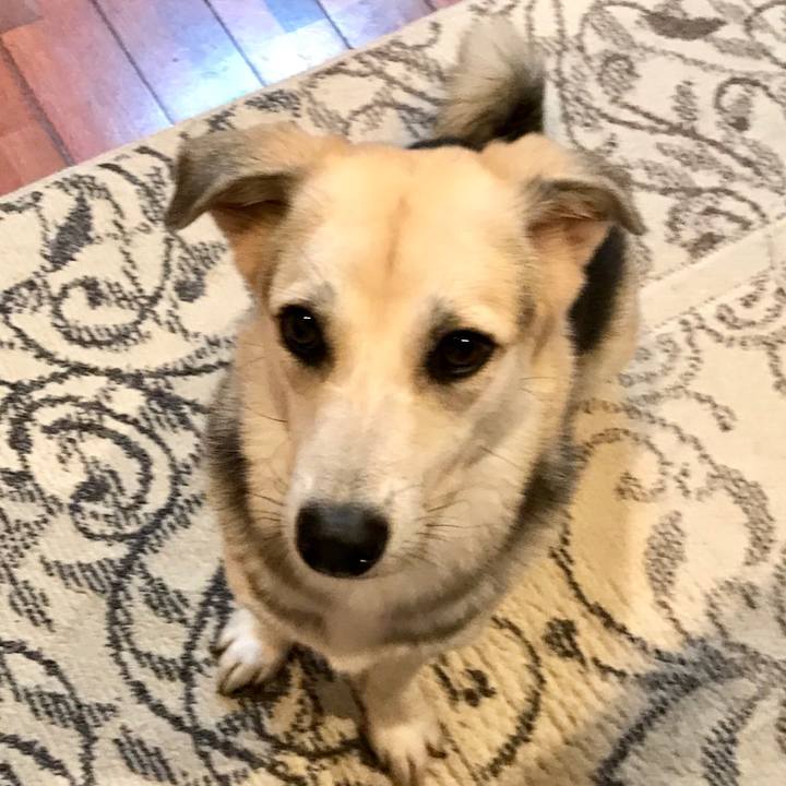 1135e9be 5d43 4e4f 82b5 5472568bafe5