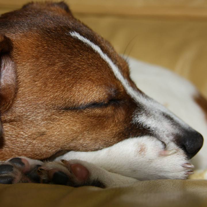 113636e2 5690 4382 b6ec ce6d523c1e62